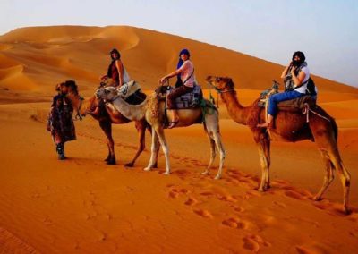 Camel trek in Sahara