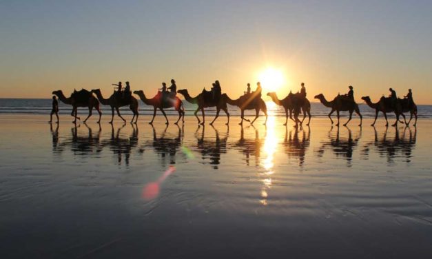 6 Days Fes Marrakech Camel Morocco tours