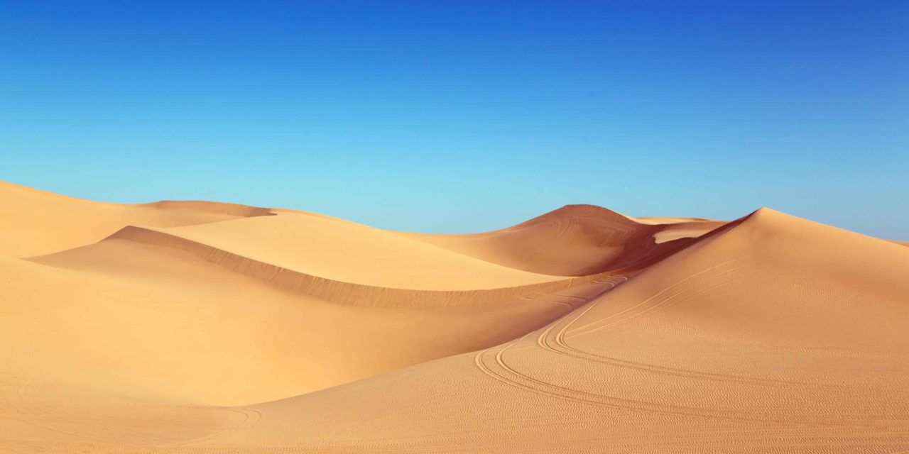 Top 10 morocco sahara desert Tours : Explore The Sahara Desert