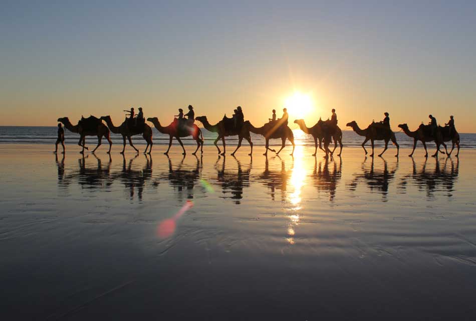 6 Days Fes Marrakech Camel Morocco tours