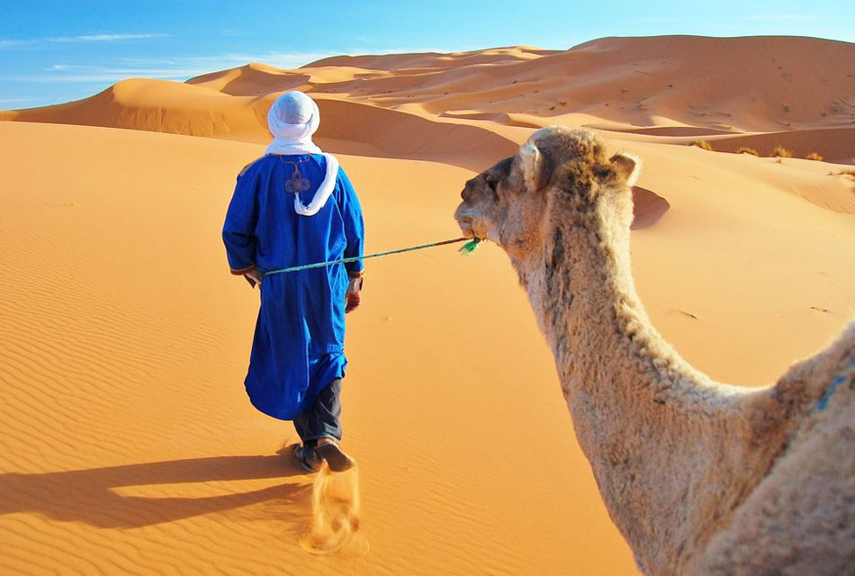 professional desert guide