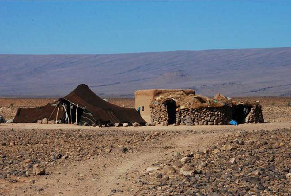 Nomad tent for tourists