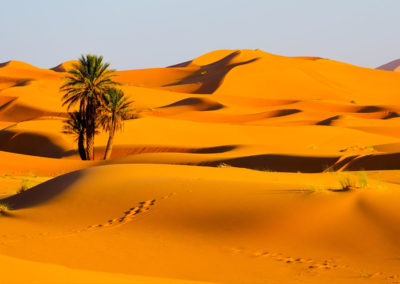 20 day tour from Casablanca to Desert