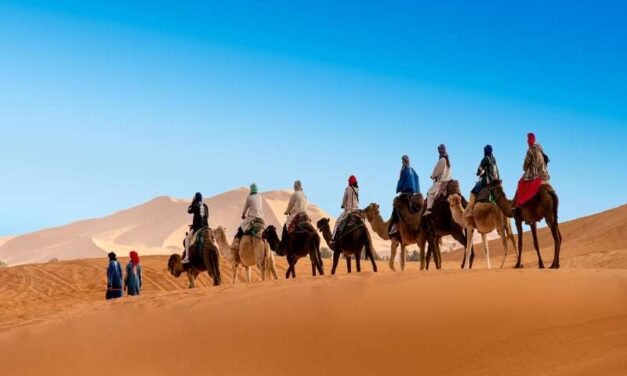 8 days tour from Casablanca to the Imperial Cities And much more