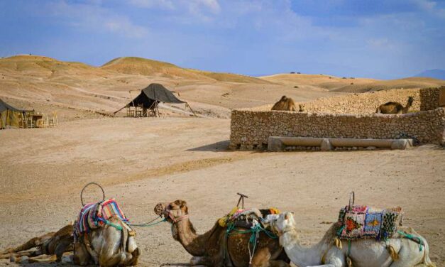 Day Trip from Marrakech to Agafay Desert