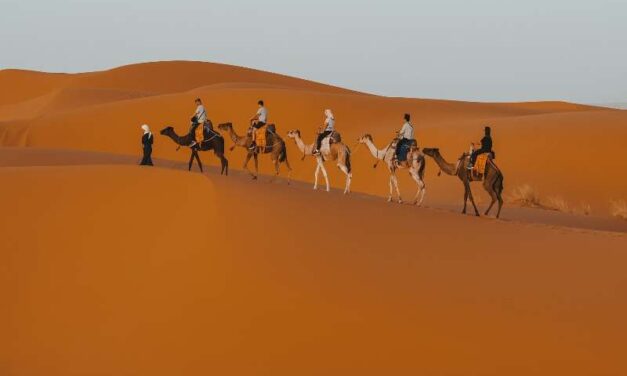 6 day Morocco tour from Fes to Marrakech