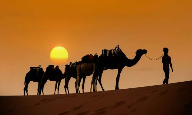 4 days tour from Fes to Marrakech