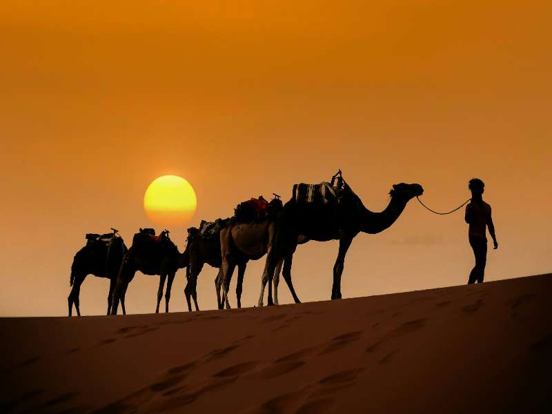 4 days tour from Fes to Marrakech