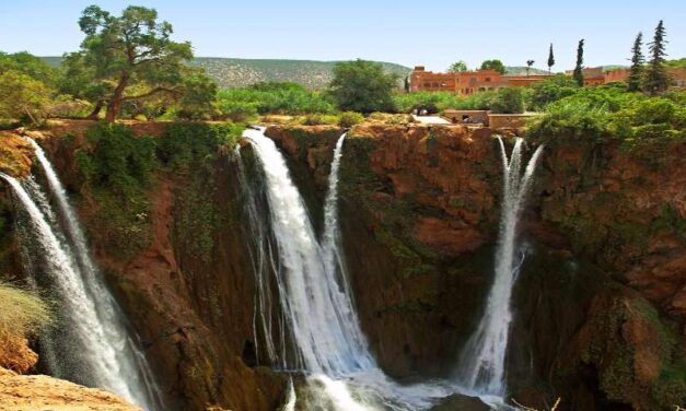 Ouzoud Waterfall Day Trip