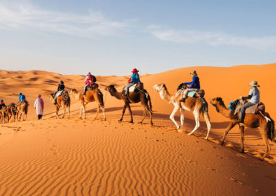 camel-trek morocco desert tour