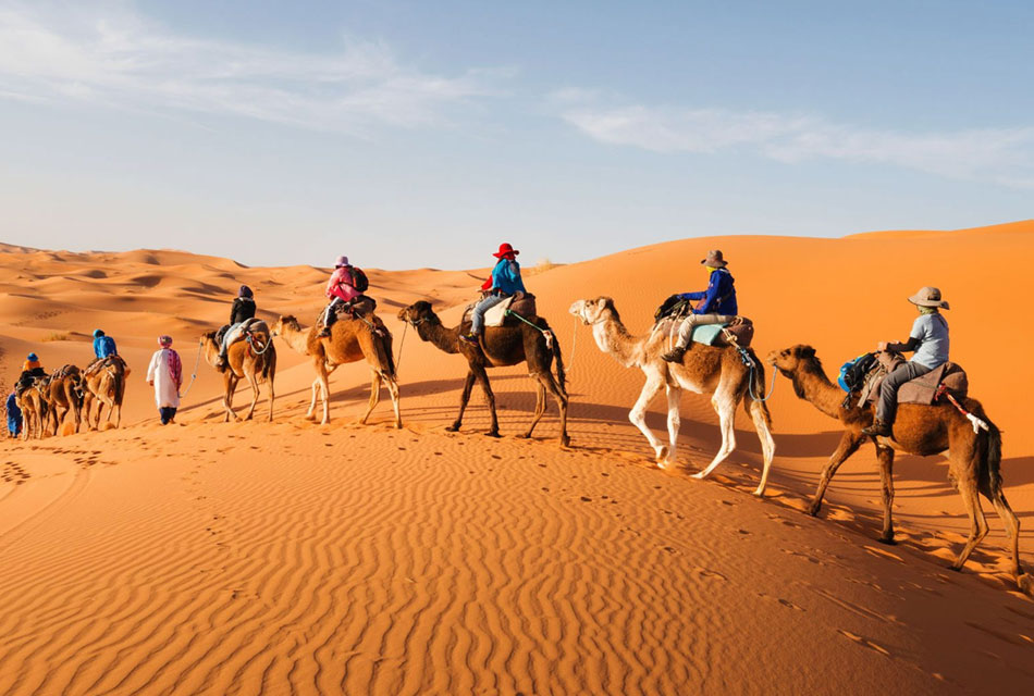 camel-trek morocco desert tour