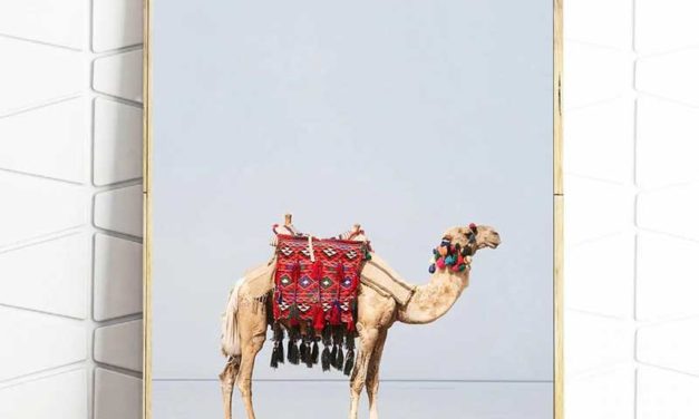 Desert Animal Camel Wall Art Moroccan Painting Picture