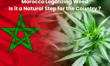 Morocco Legalizing Weed! Is it a Natural Step for the Country?