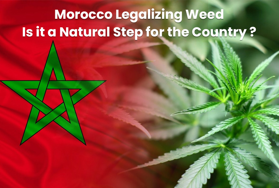 Morocco Legalizing Weed! Is it a Natural Step for the Country?
