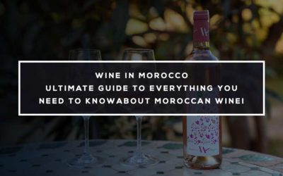 Wine in Morocco: Ultimate Guide to Everything you Need to Know about Moroccan Wine!