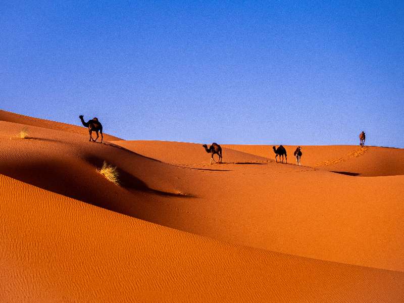 8 day itinerary morocco