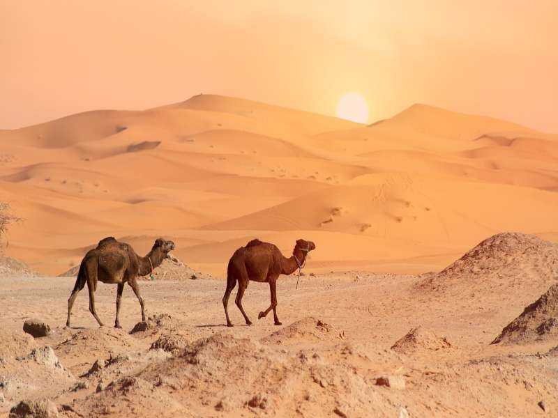 8 days tour from casablanca