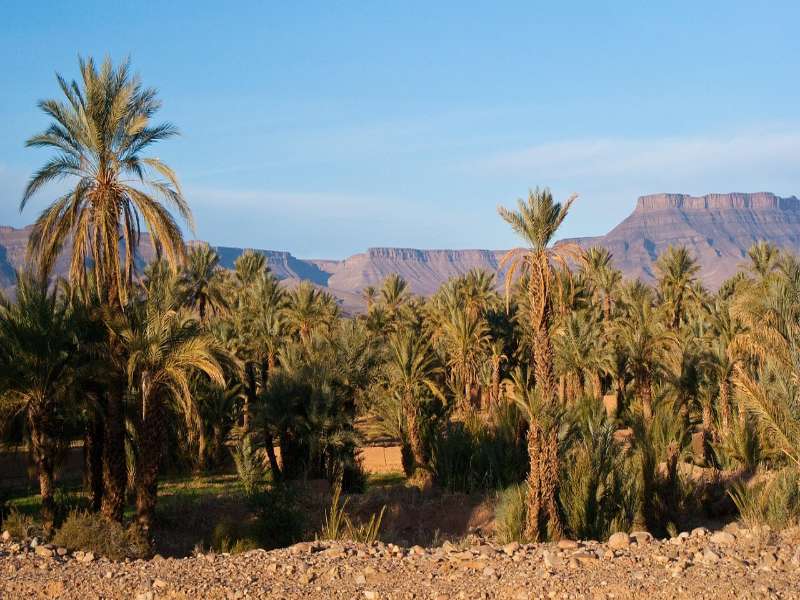 5 days tour from Fes to Merzouga