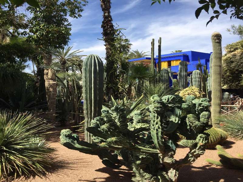 yao-bros-m5p9yMHr0U8-unsplash (1)-fotor-20250814152045 marrakech sightseeing tour