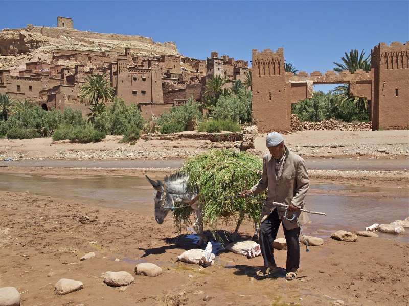 carlos-ibanez-644X6zmy1Hk-unsplash (6)-fotor-20250814161843 3 days desert tour from Marrakech to Fes