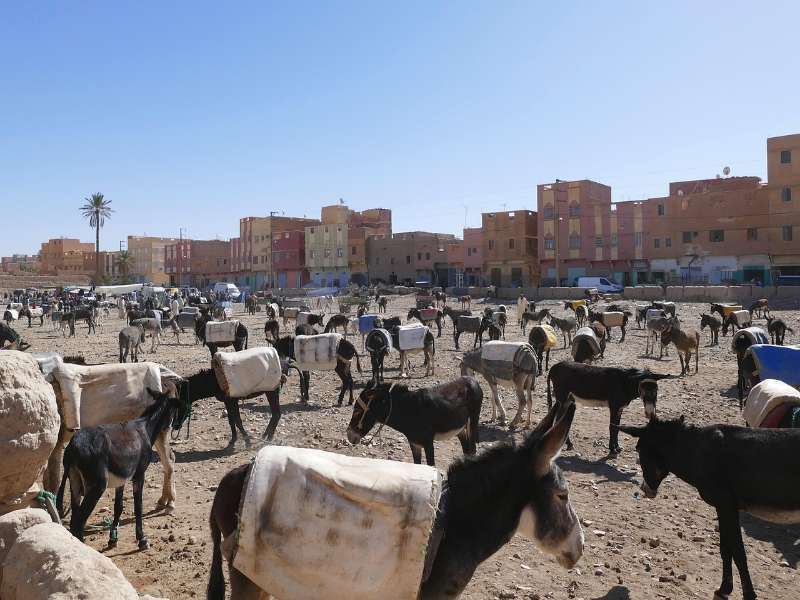 sebastiano-corti-hFHt6MtHn84-unsplash (2)-fotor-2025081416269 8 day itinerary morocco