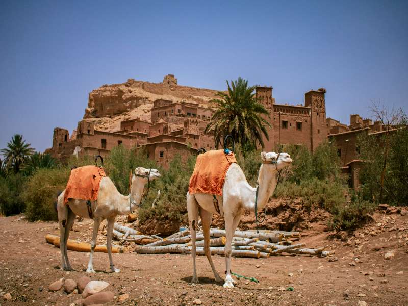 8 day itinerary morocco