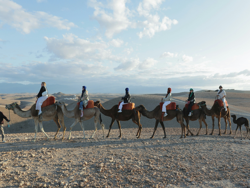 sebastiano-corti-hFHt6MtHn84-unsplash (2)-fotor-2025081416269 day trip from Marrakech to Agafay desert