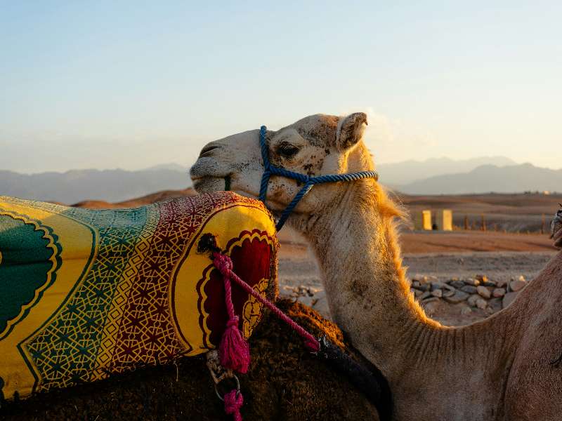 carlos-ibanez-644X6zmy1Hk-unsplash (6)-fotor-20250814161843 day trip from Marrakech to Agafay desert