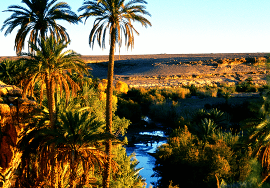 3 DAYS TOUR FROM ERRACHIDIA TO MERZOUGA