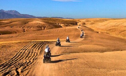 Agafay Desert Day Trip from Marrakech: The Ultimate Guide to Planning, Prices & What to Expect