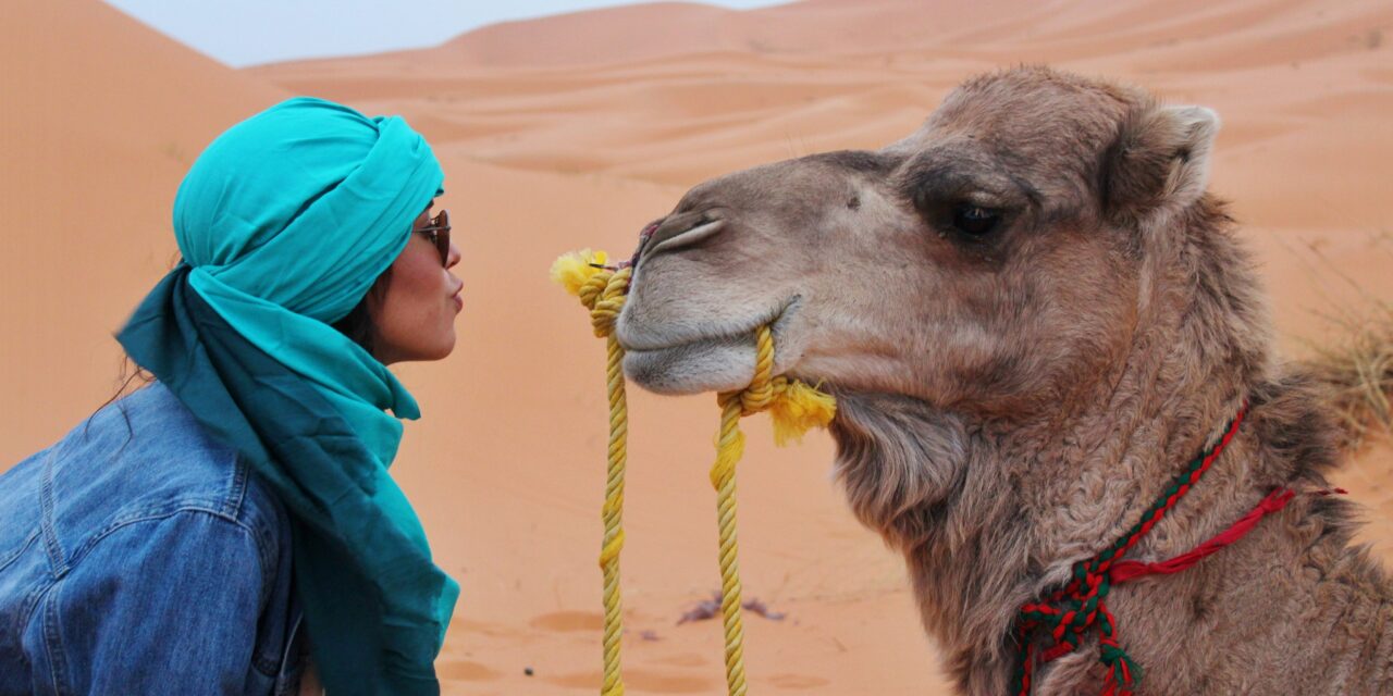Solo Female Travel Morocco: Essential Safety Guide