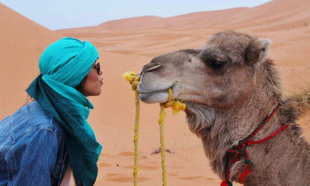 Solo Female Travel Morocco: Essential Safety Guide